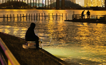 Vom Klick zur Reaktion: Warum Geduld im Netz zur Ausnahme wird