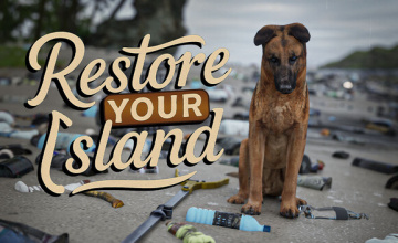 Restore Your Island is Out Now on Steam