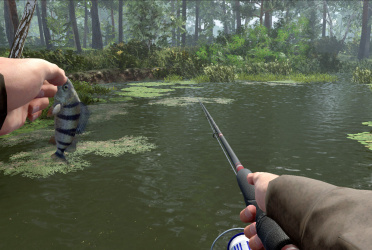 Professional Fishing 2