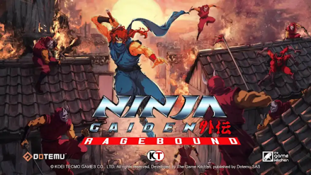 The Way of the Ninja is Never EasyNews  |  DLH.NET The Gaming People