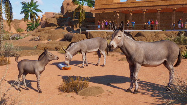 Mit dem Planet Zoo: Arid Animal Pack der Hitze trotzenNews  |  DLH.NET The Gaming People