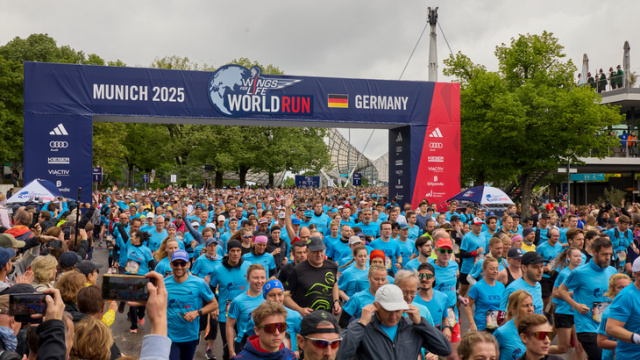 Rekordandrang auf Startplätze