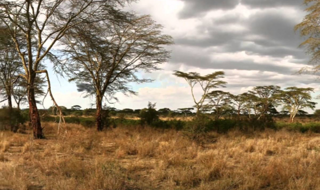 Secret Files Sam Peters (iOS) - Official Gameplay Trailer