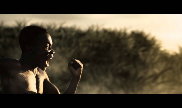 Season-Pass und DLC für Assassins Creed IV Black Flag